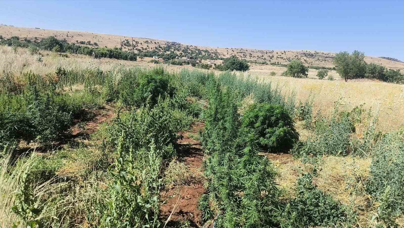Ele Geçirilen Maddelerin Önemi ve Uyuşturucu Ticareti ile Mücadele