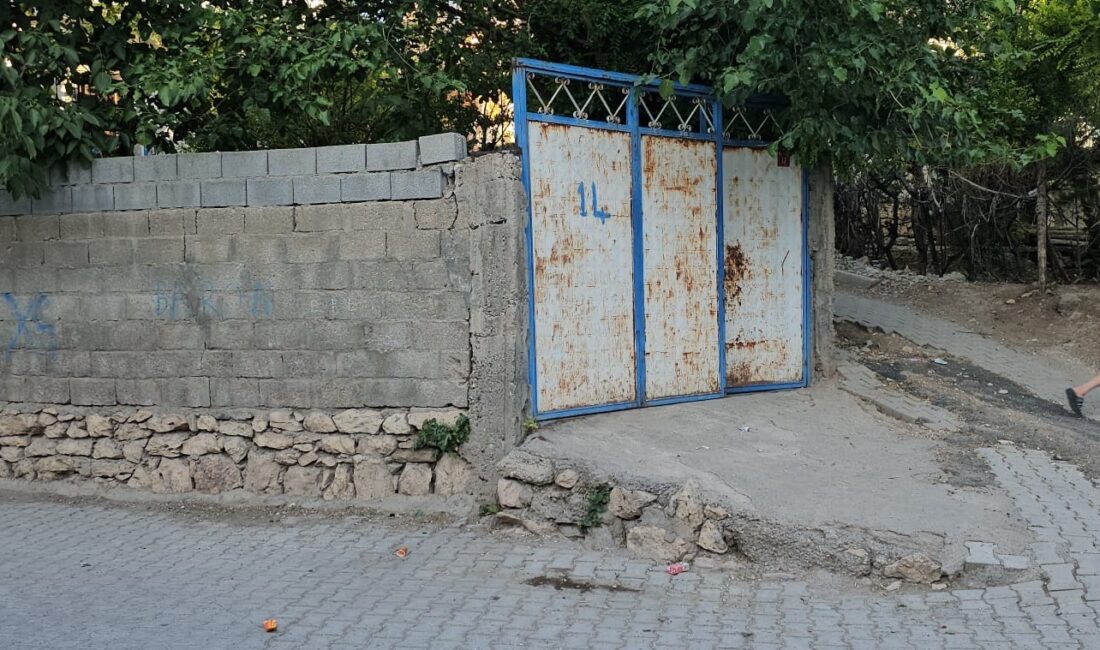 Diyarbakır'da aile içi şiddet ve psikolojik sorunların etkisiyle meydana gelen