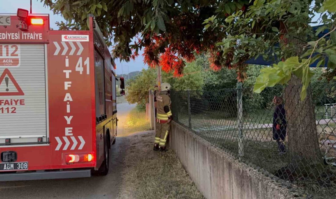 Düzce’de anız yangını risklerine karşı uyarılar ve güvenlik önlemleri hakkında