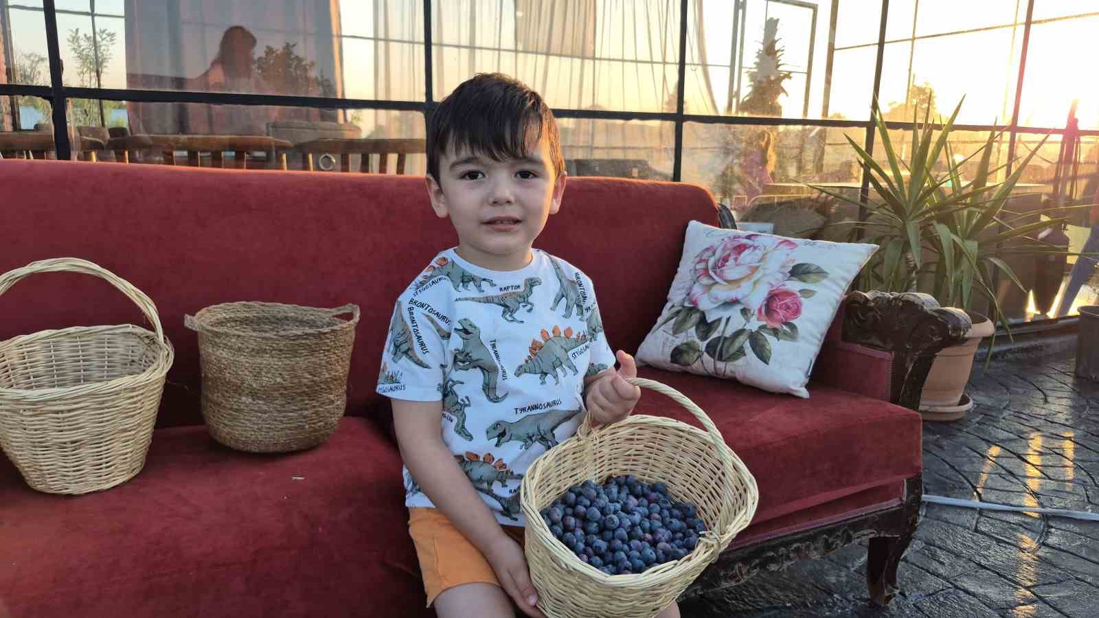 Ziyaretçilerden Gelen Yorumlar
