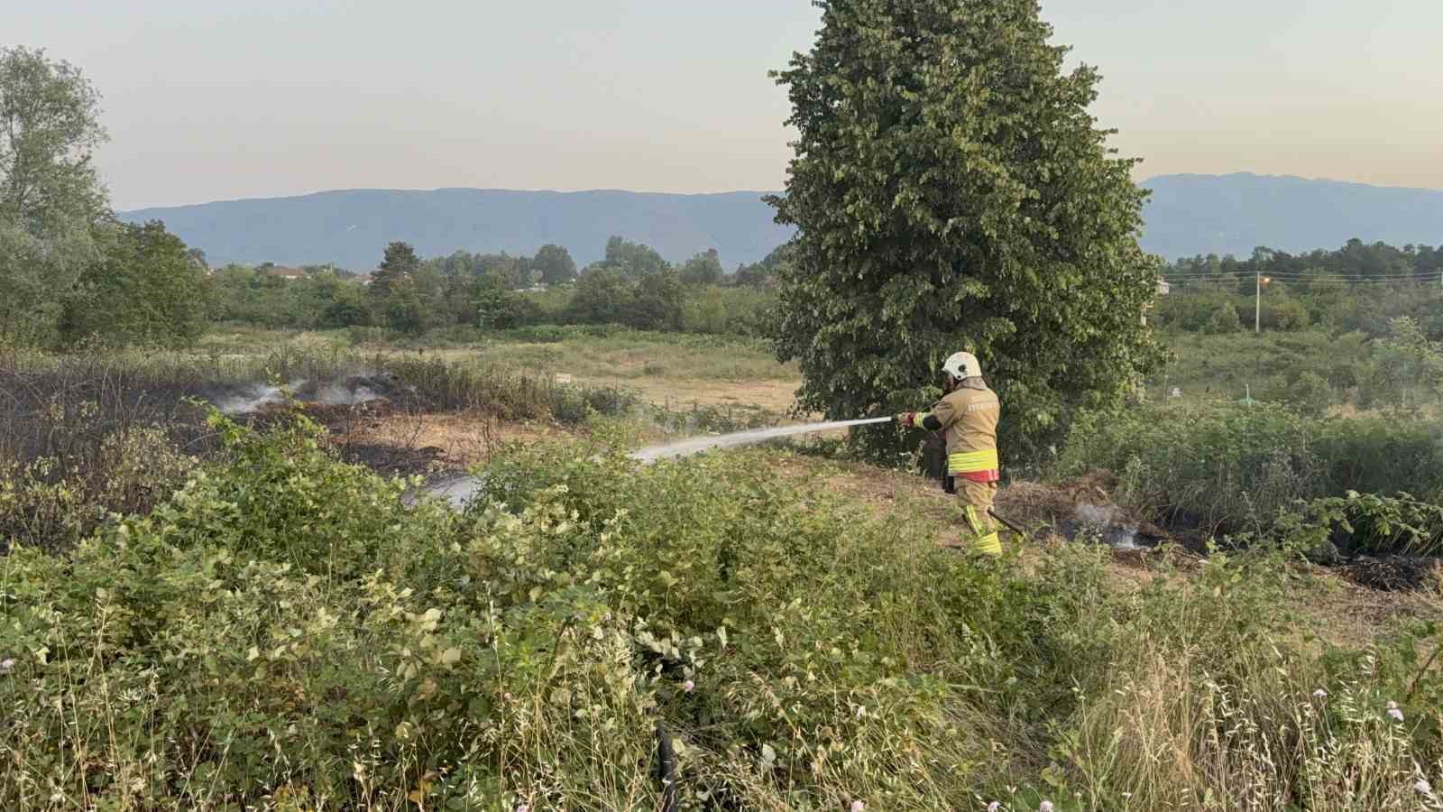 Yangının Gelişimi ve Müdahale Süreci