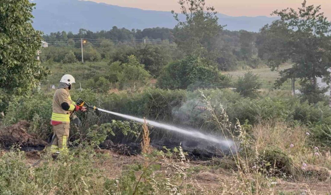 Düzce’de yol kenarında çıkan ot yangını ve alınan güvenlik önlemleri