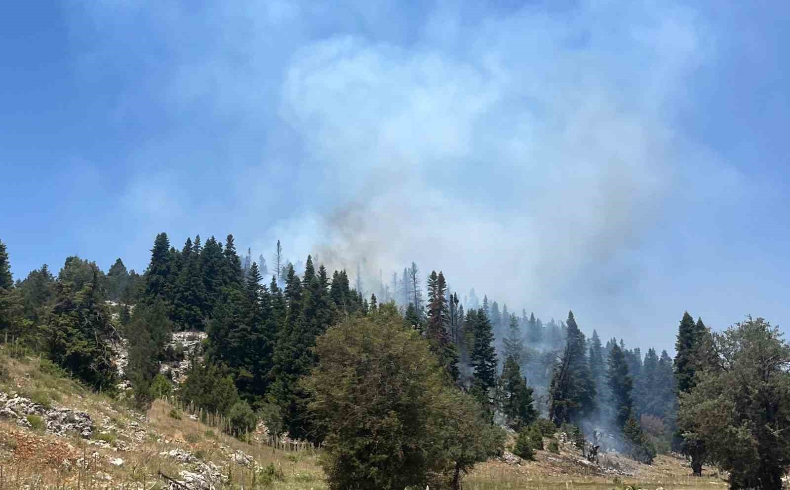 Hava ve Kara Müdahalesi