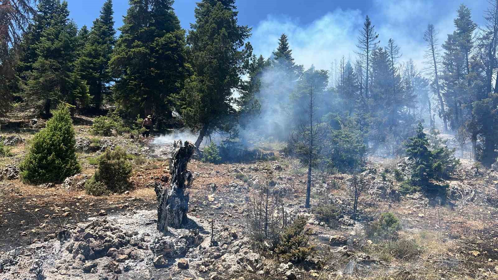 Erdemli’de orman yangınına hızlı ve etkili müdahale sayesinde yangın kontrol