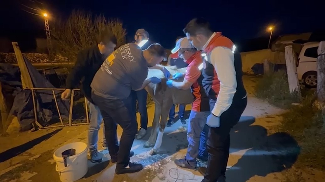 CİMER Üzerinden Bakanlığa Yapılan Başvuru