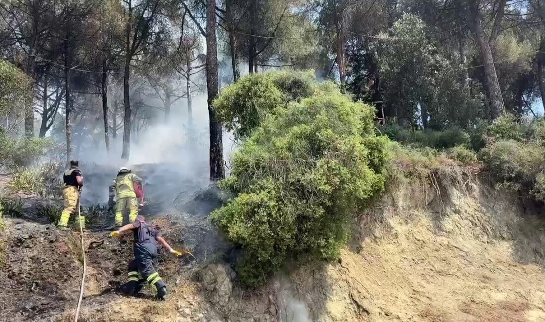 Gemlik ilçesinde orman yangınlarıyla ilgili güncel gelişmeler, önlemler ve yangınların