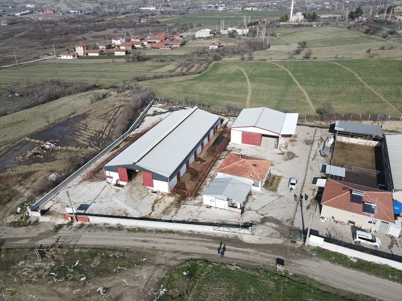 Gelecek Planları ve Genç Girişimcilere Tavsiyeleri