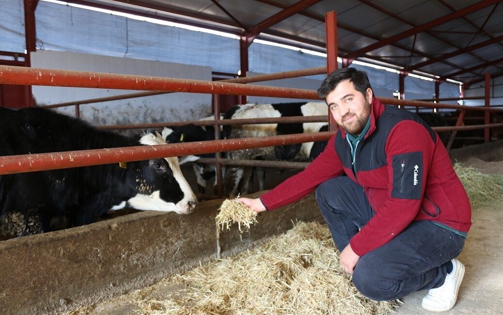 Genç veteriner teknisyeni Sacit Sarı'nın modern çiftlik hikayesini keşfedin. Hayvan