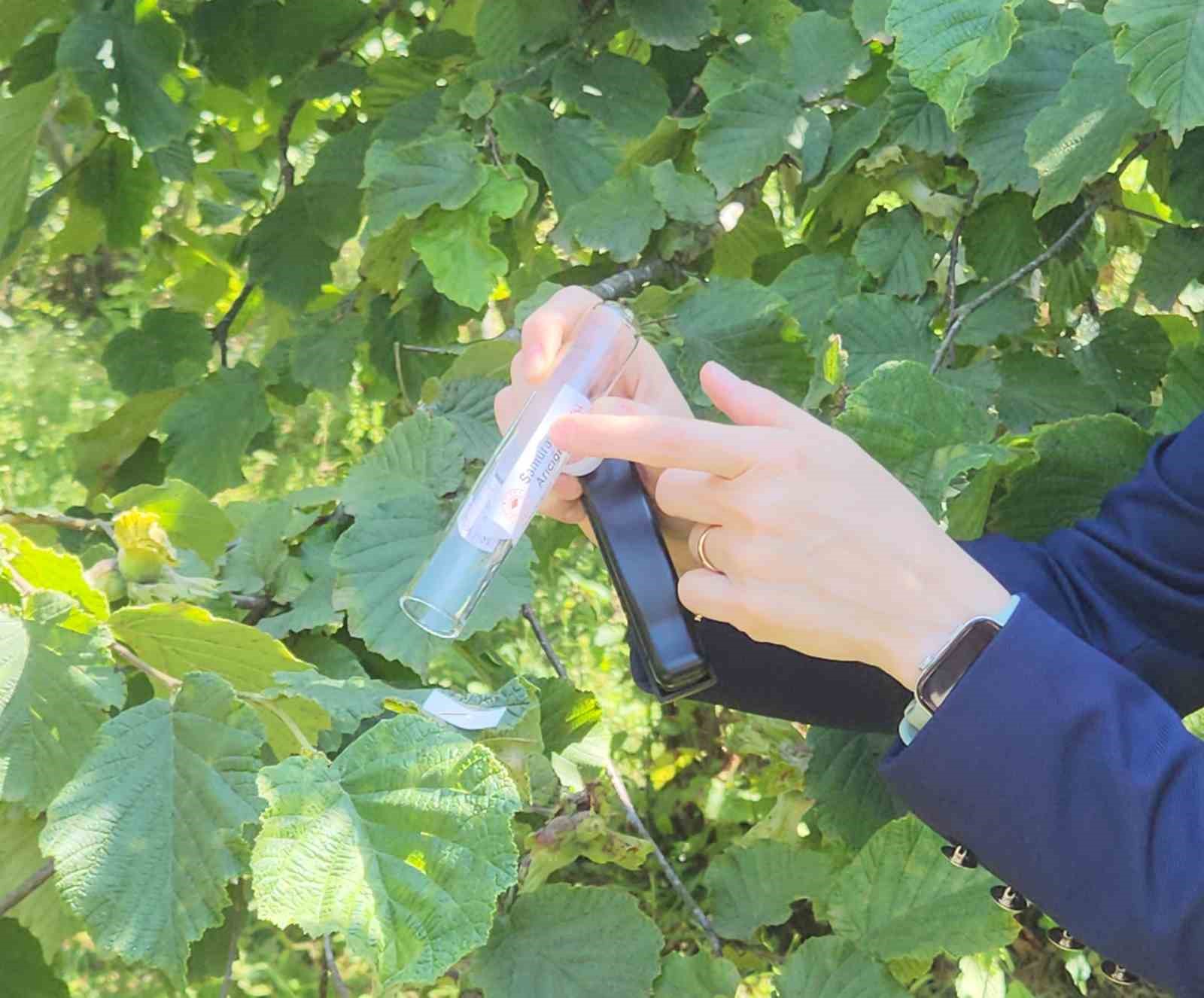 Salım Hedefleri ve Bölgesel Çalışmalar