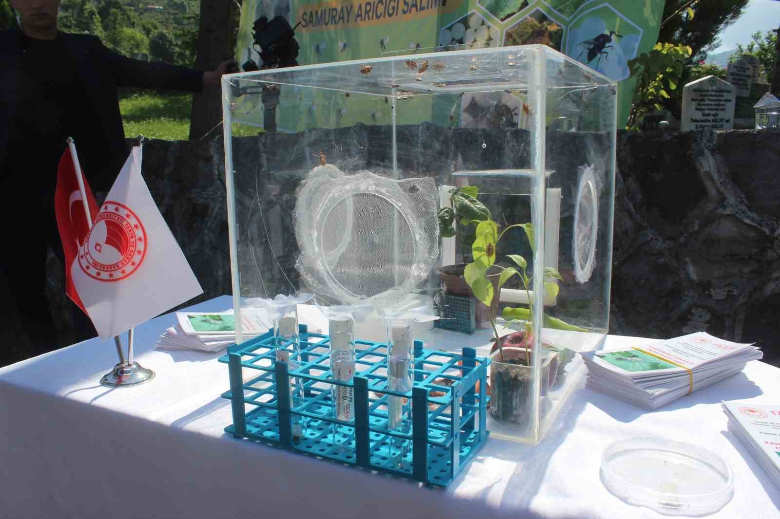 Etkinliğe Katılanlar ve Gelecek Planları