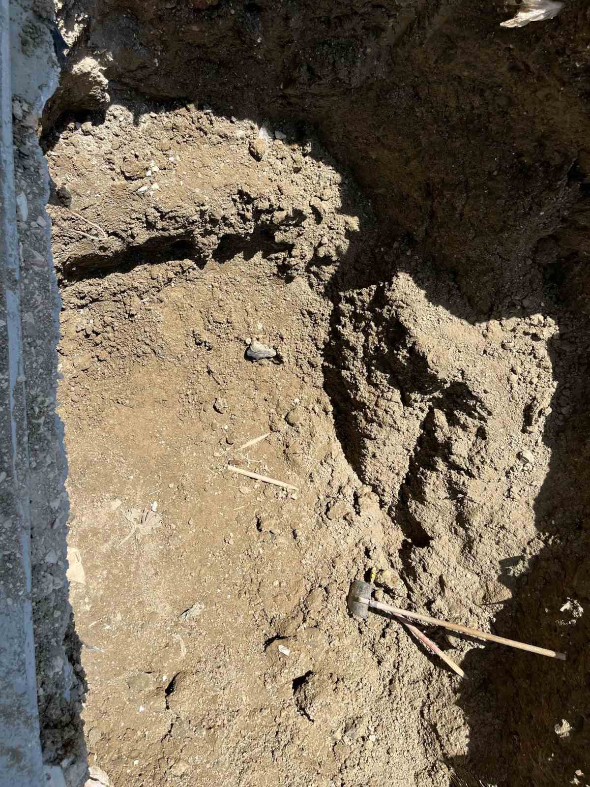 İşçilerin Kimlikleri ve Kökenleri