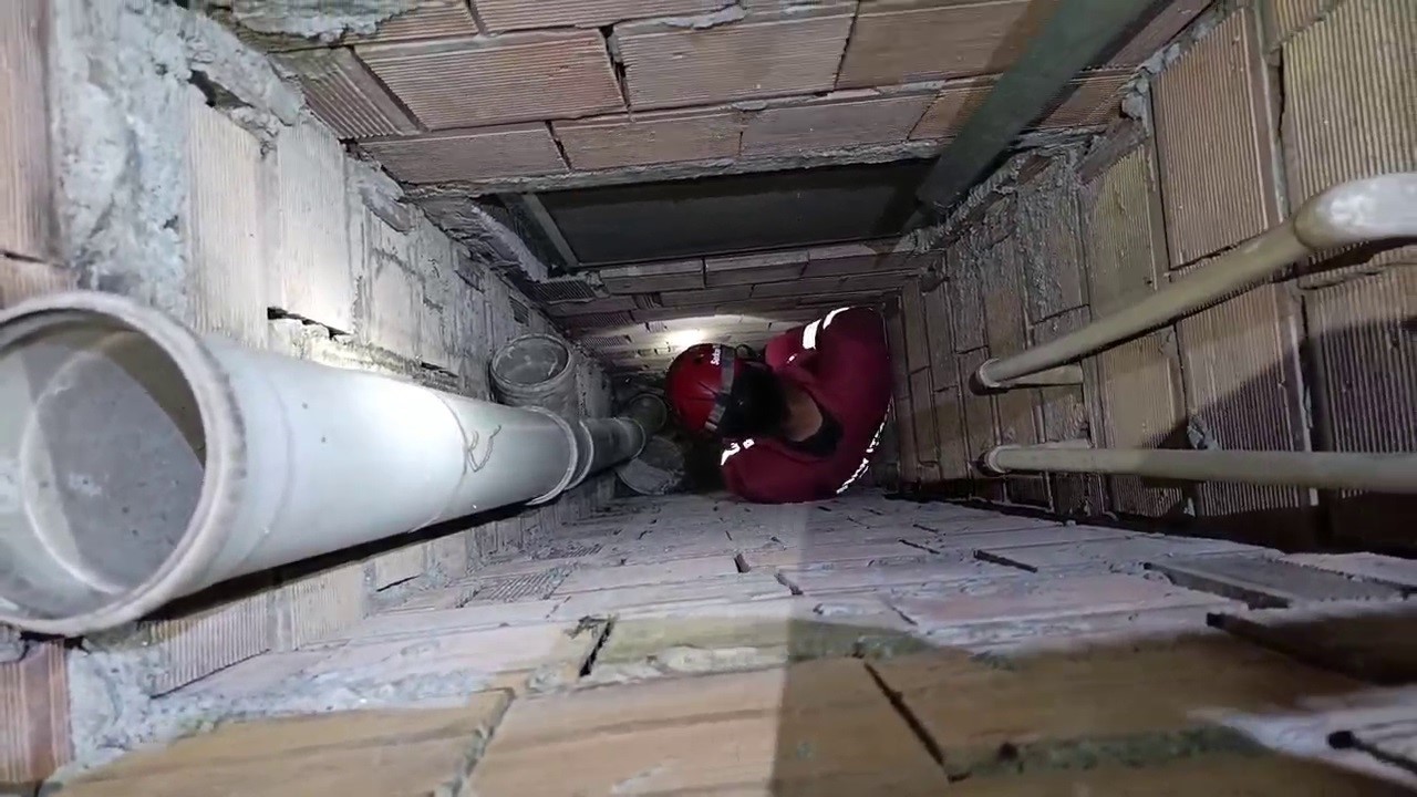 Yaşlı Kadının Sevecenliği ve Yavru Kedisiyle Duygusal Anlar
