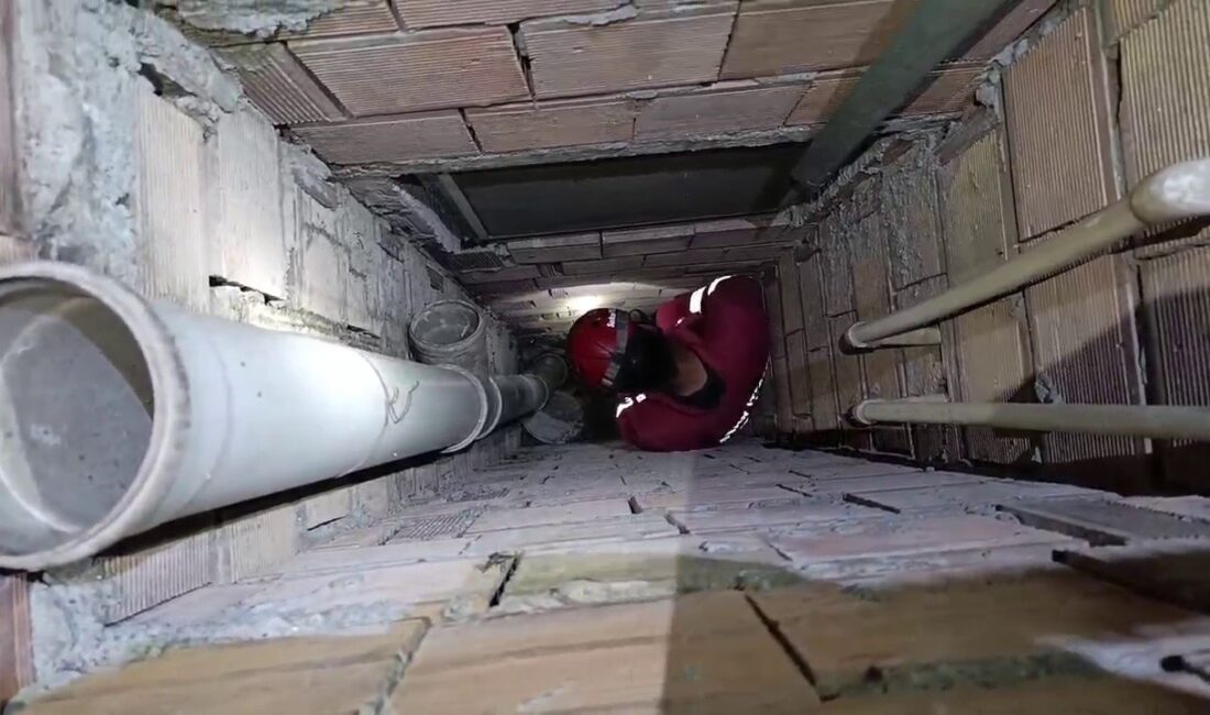 Hatay'da yavru kedinin kurtarılmasıyla yürekleri ısıtan anlar ve sevgi dolu