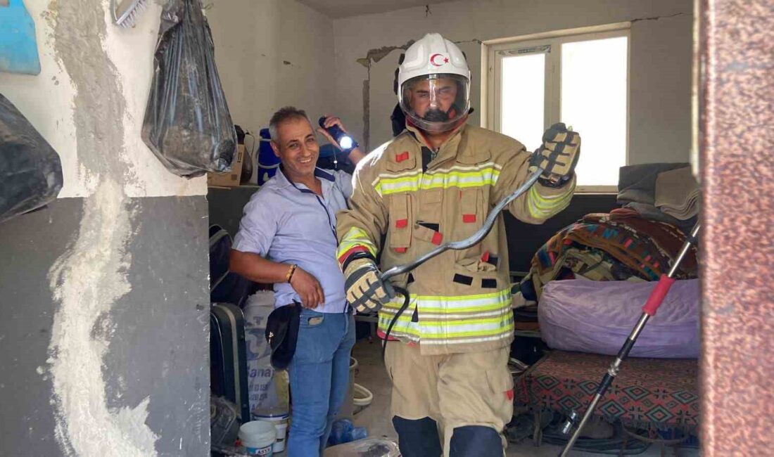 Hatay’da yılan panik yarattı, ekipler hızla harekete geçti ve yolu