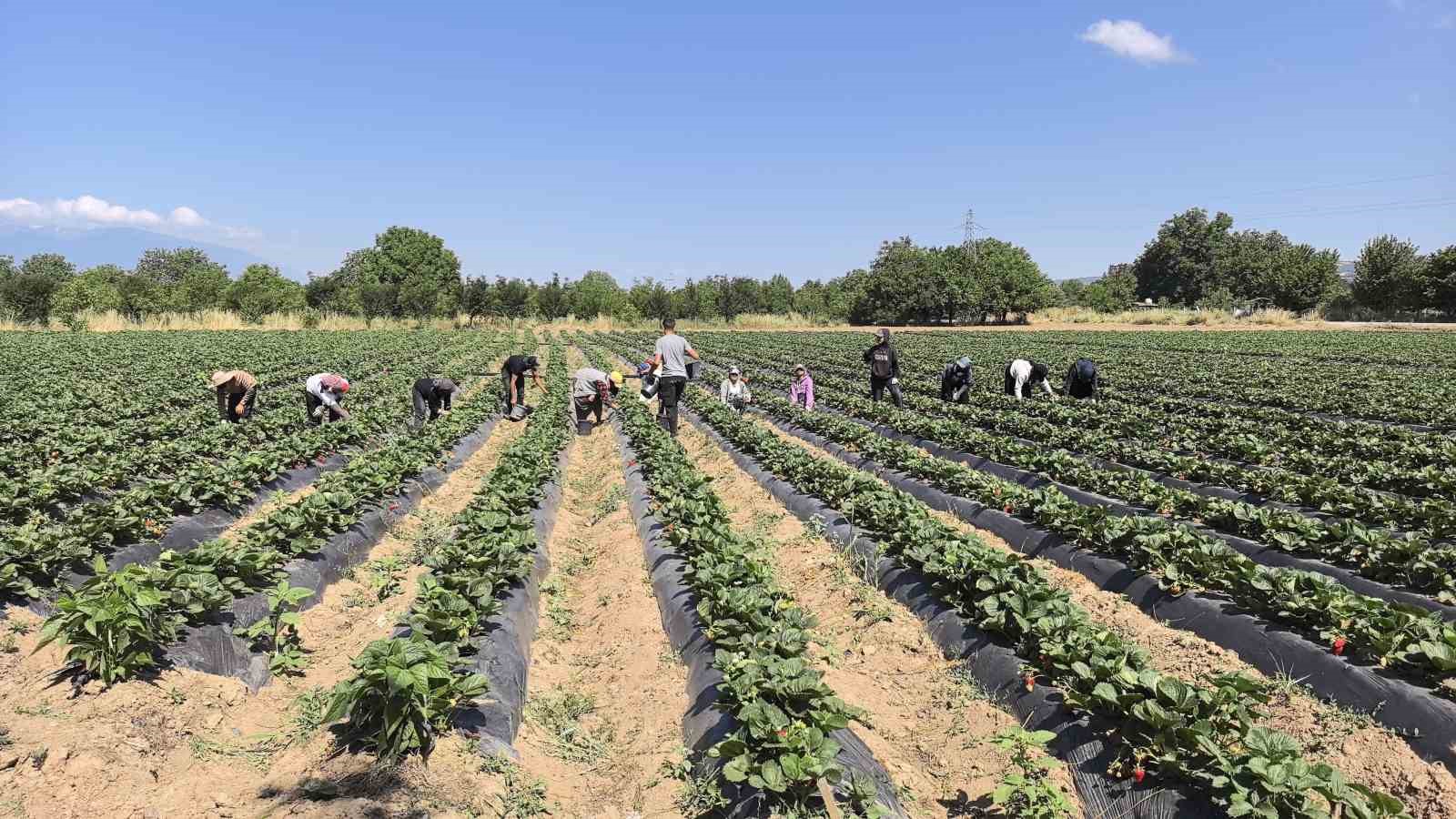 İhracat Faaliyetleri ve Uluslararası Pazarlar
