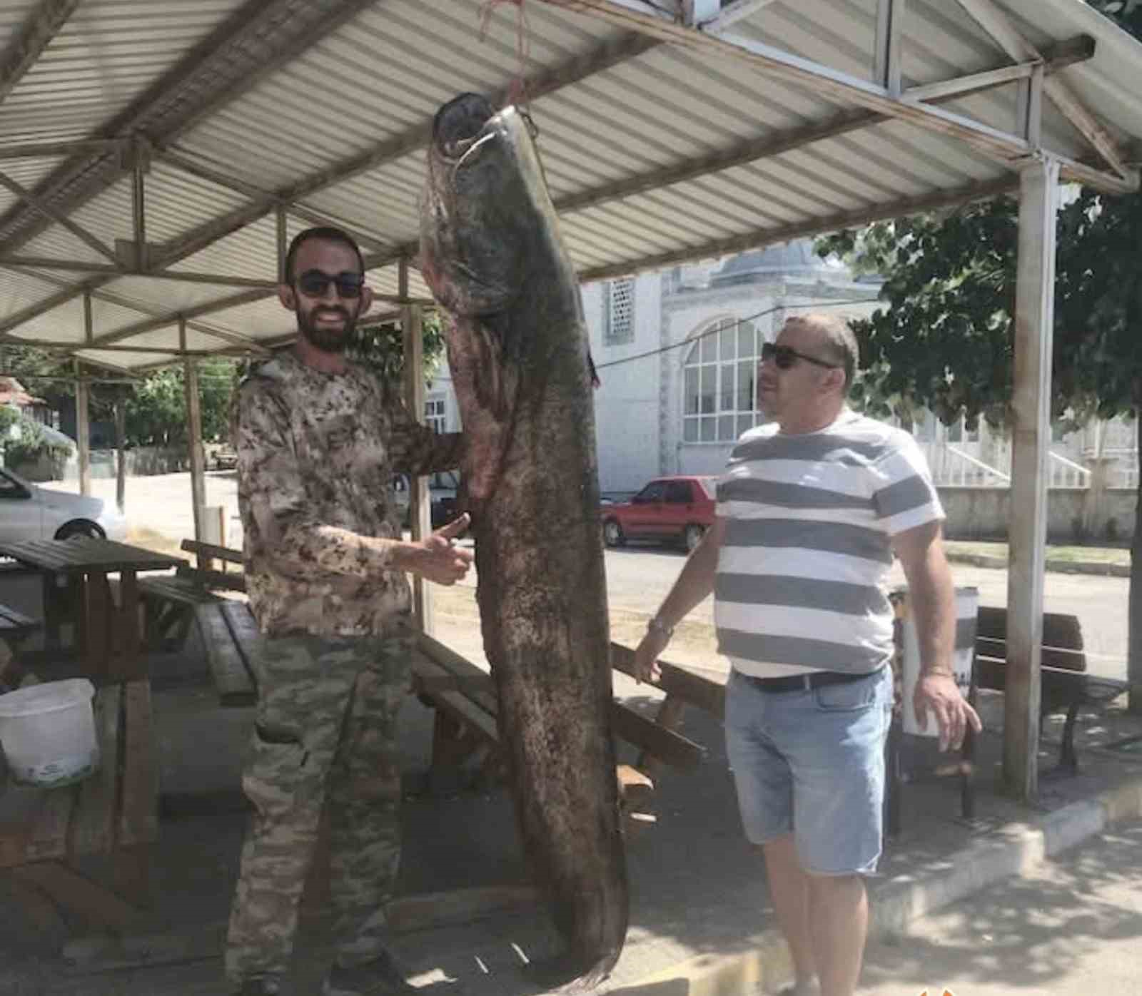 İpsala’daki Nehirde Büyük Balık Heyecanı