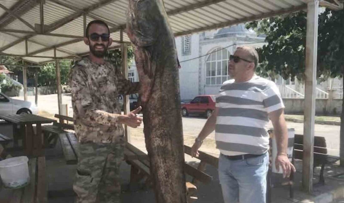 İpsala’da dev balık yakalandı! Bu şaşırtıcı olayı ve detaylarını öğrenmek