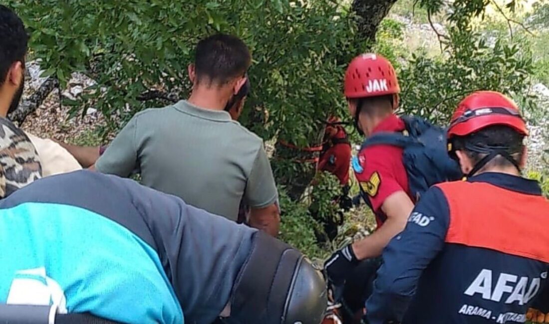 Isparta Aksu'da Ihlamur toplama sırasında yaşanan kaza ve sonuçlarını detaylarıyla