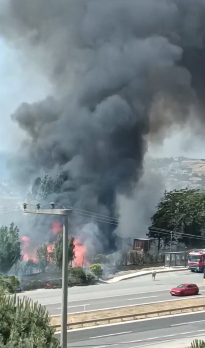 Gelecek Adımlar ve Çevresel Etkiler
