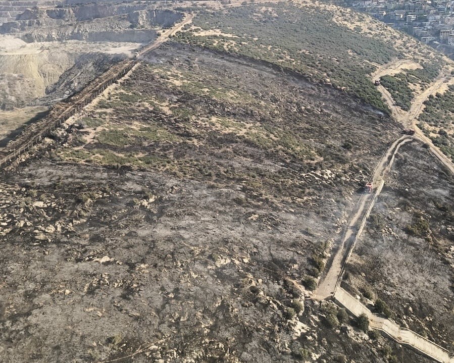 izmir bornovada makilik alanda yangin kontrol altina alindi YRXyb2nN
