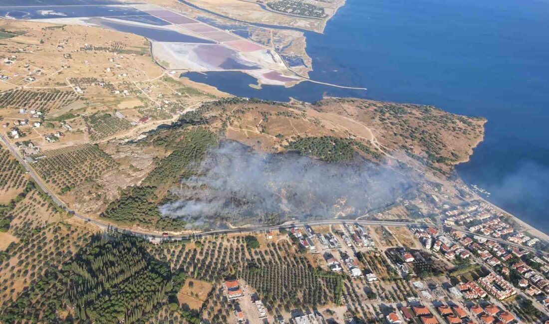 İzmir Dikili'de çıkan orman yangını ve müdahale çalışmaları hakkında güncel