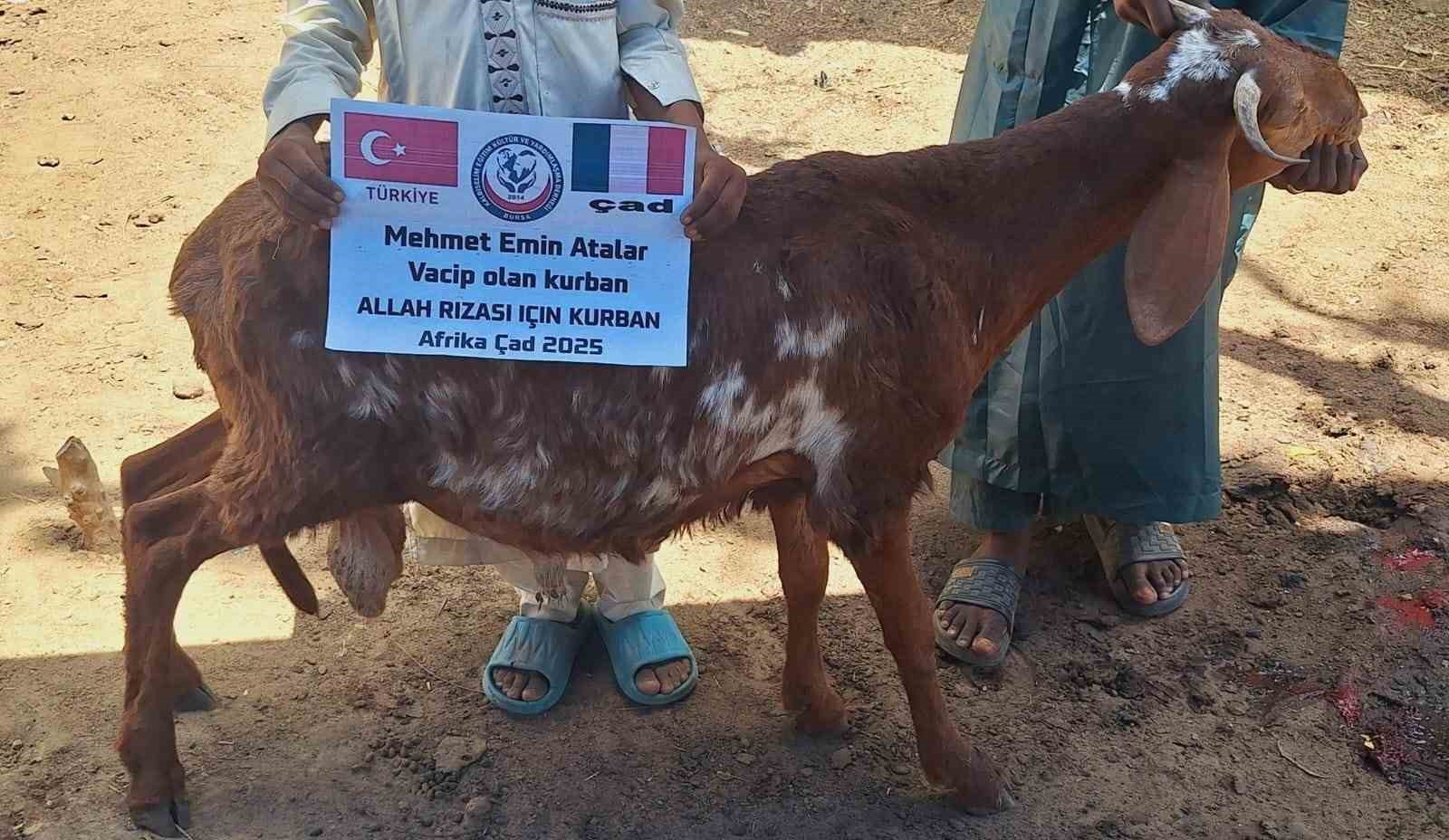 Kalbiselim Eğitim, Kültür ve Yardımlaşma Derneği'nin Afrika’da büyük yardım seferberliği