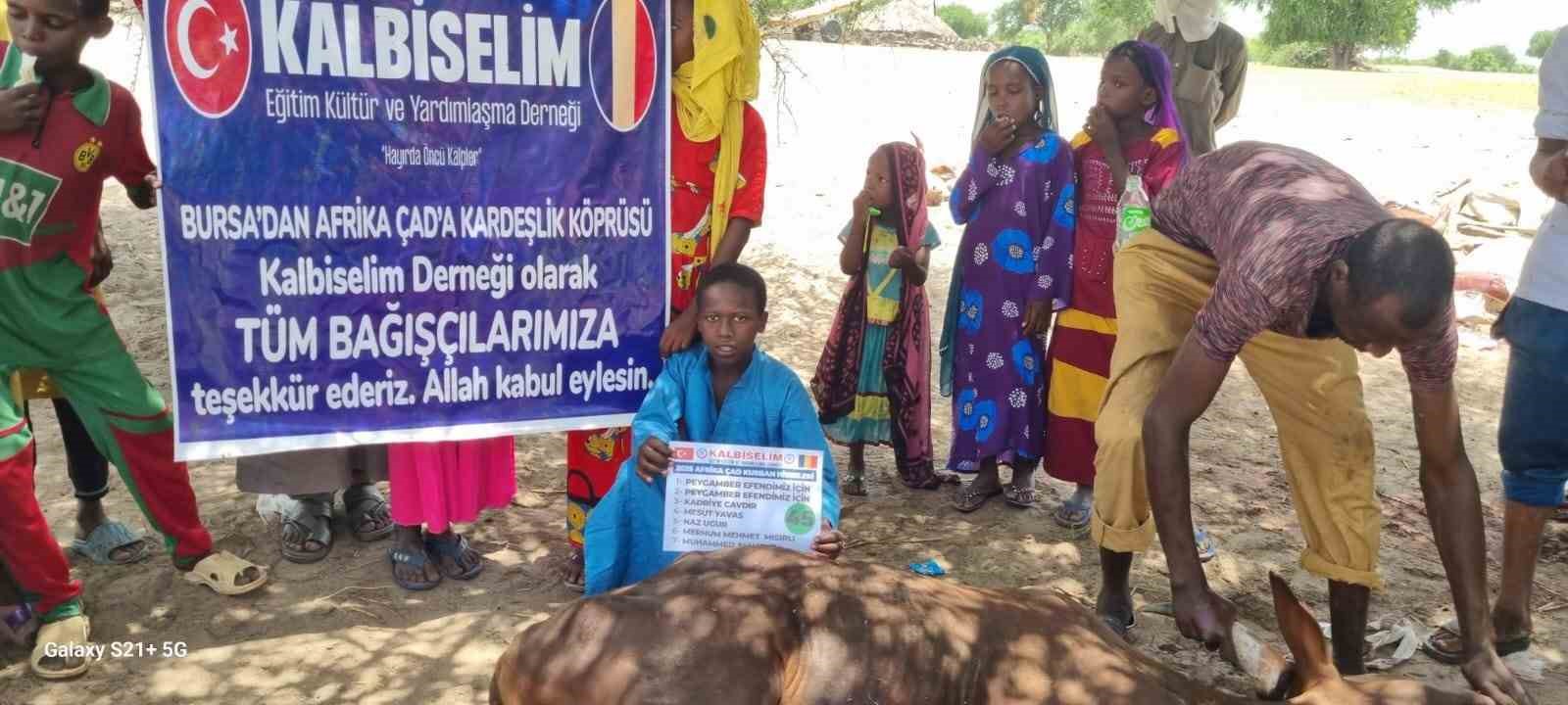 Yapılan kurban kesimleri ve dağıtım detayları