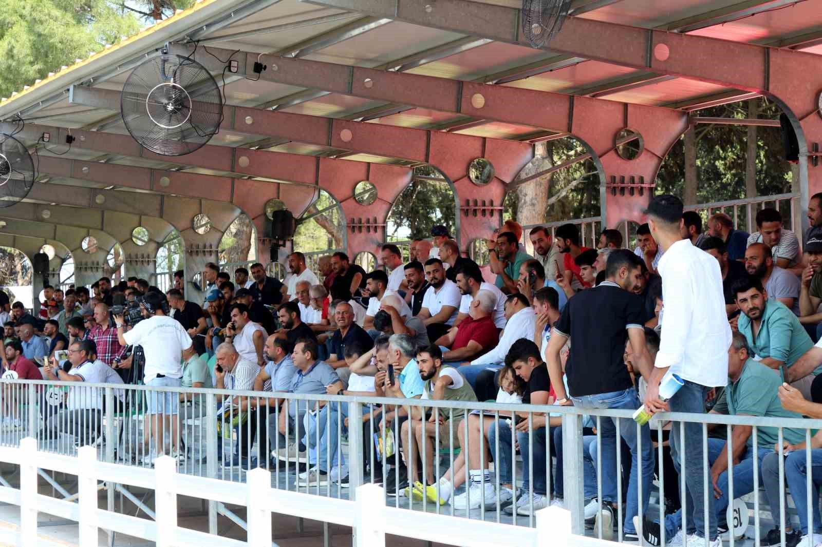 İlerleyen Dönem İçin Planlar ve Hedefler