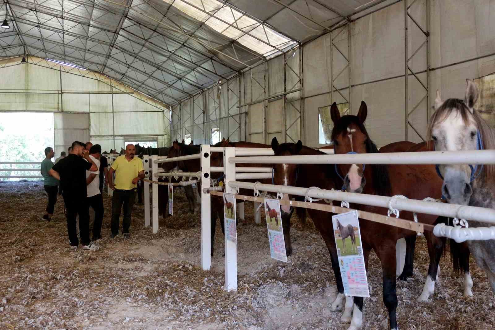Satışın Güvenlik Önlemleri ve Gergin Anlar