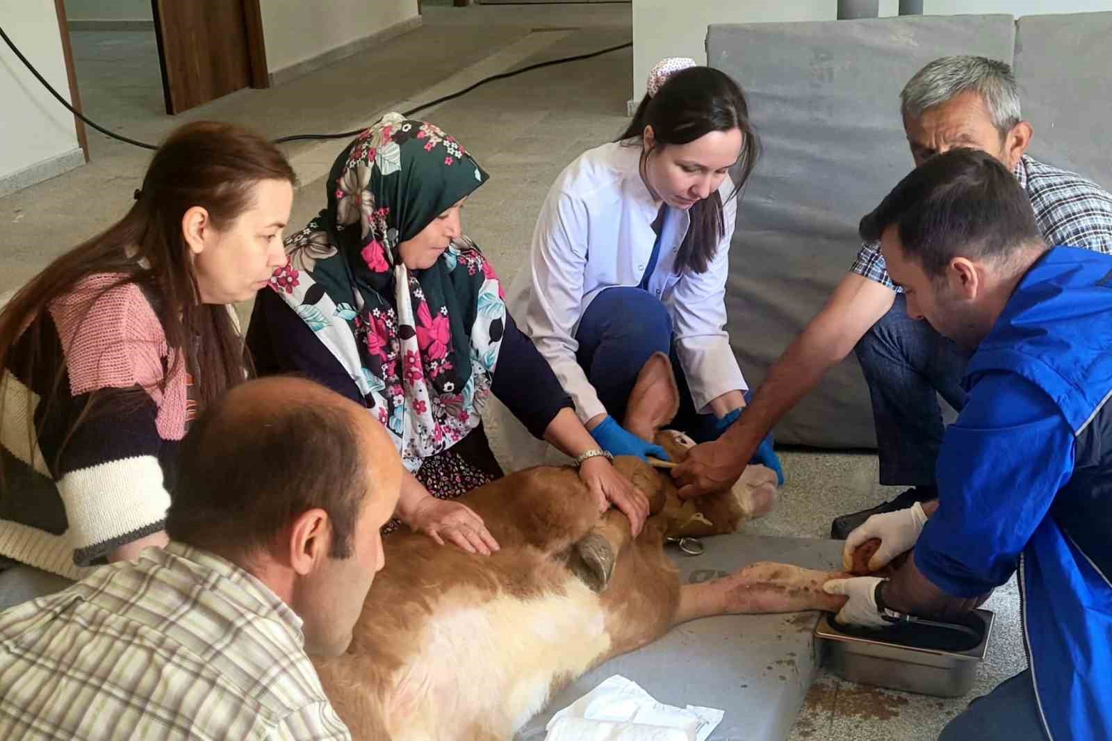 İzleme ve bakım süreci