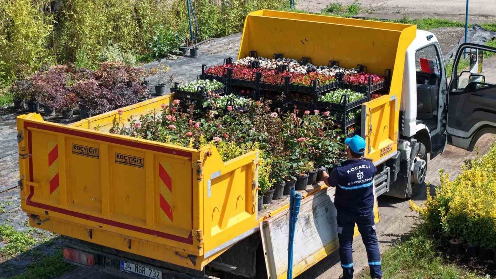 Fidanlıkta Yetiştirilen Bitki Çeşitleri