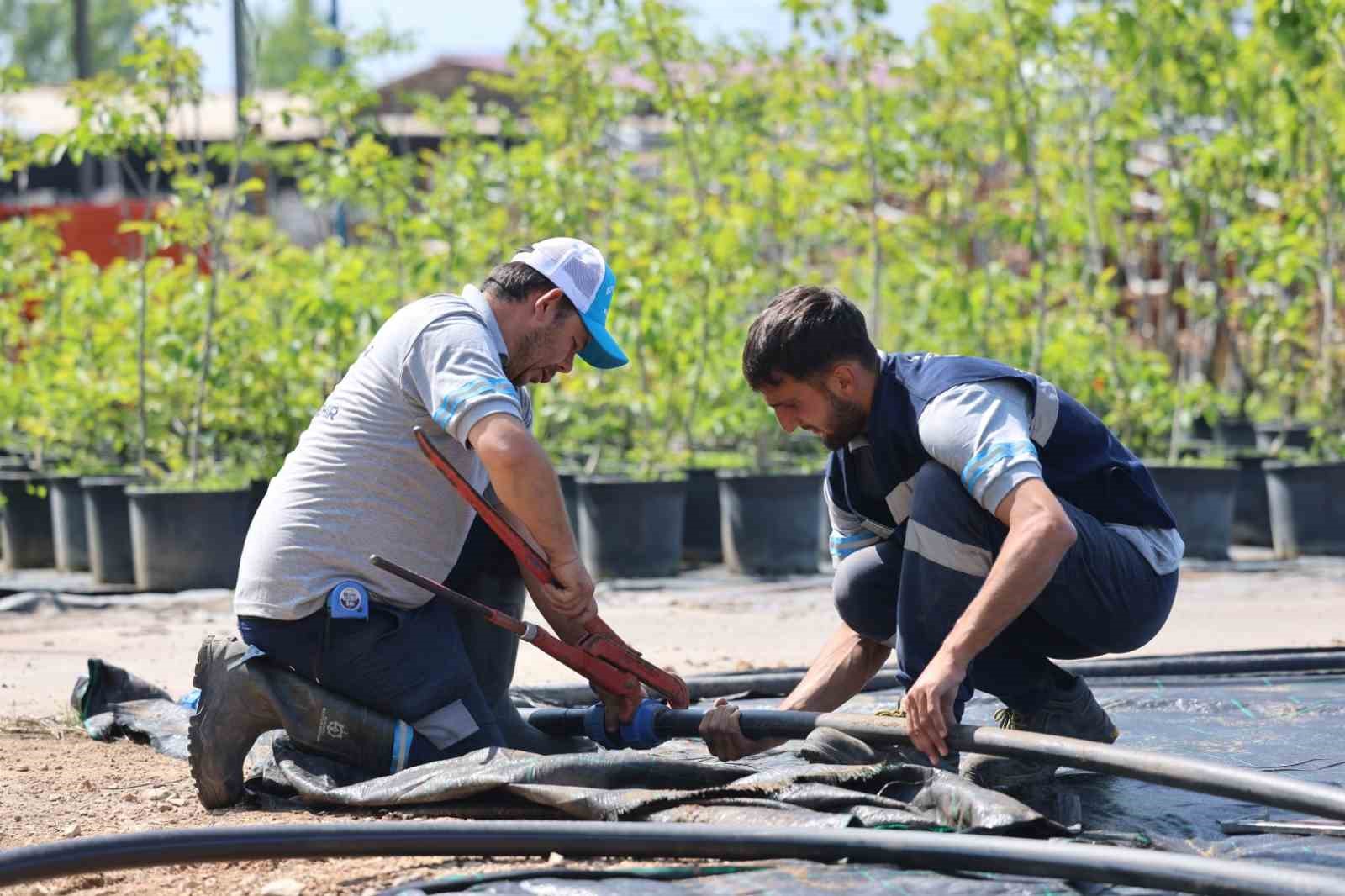 Sonuç ve Gelecek Planları