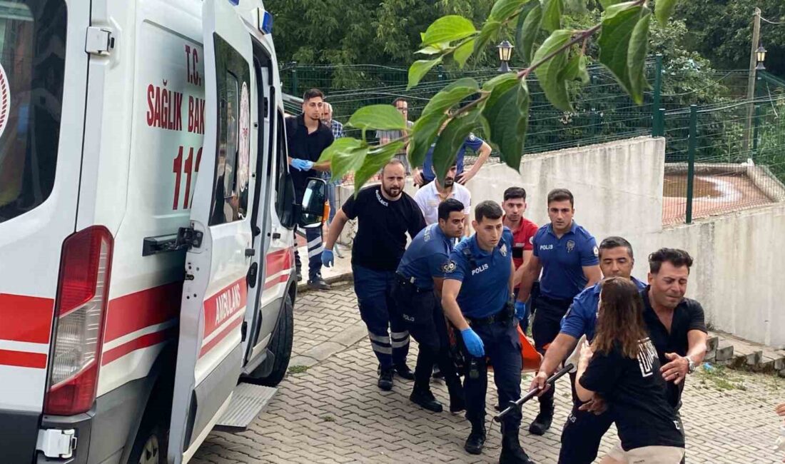 Kocaeli Gölcük'te yaşanan cinayet ve davanın tüm detaylarını öğrenin. Olayın