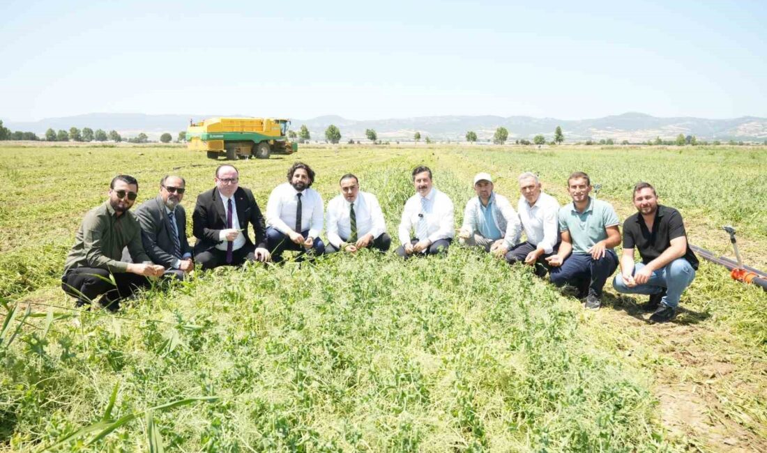 Libya ve Yenişehir arasındaki iş birliği zirvesi ile ekonomik gelişmelerin
