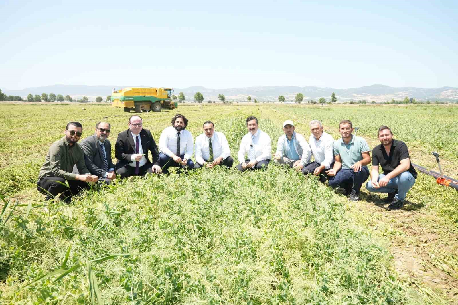 libya yenisehir is birligi zirvesi ve ekonomik is birligi gelismeleri IqpFJmOC