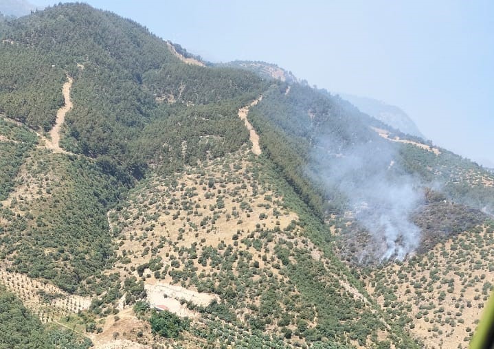 Yangının Başlangıcı ve İlk Müdahale Süreci