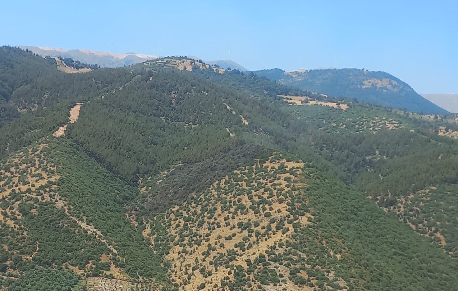 Yangının Başlangıcı ve İhbar Süreci