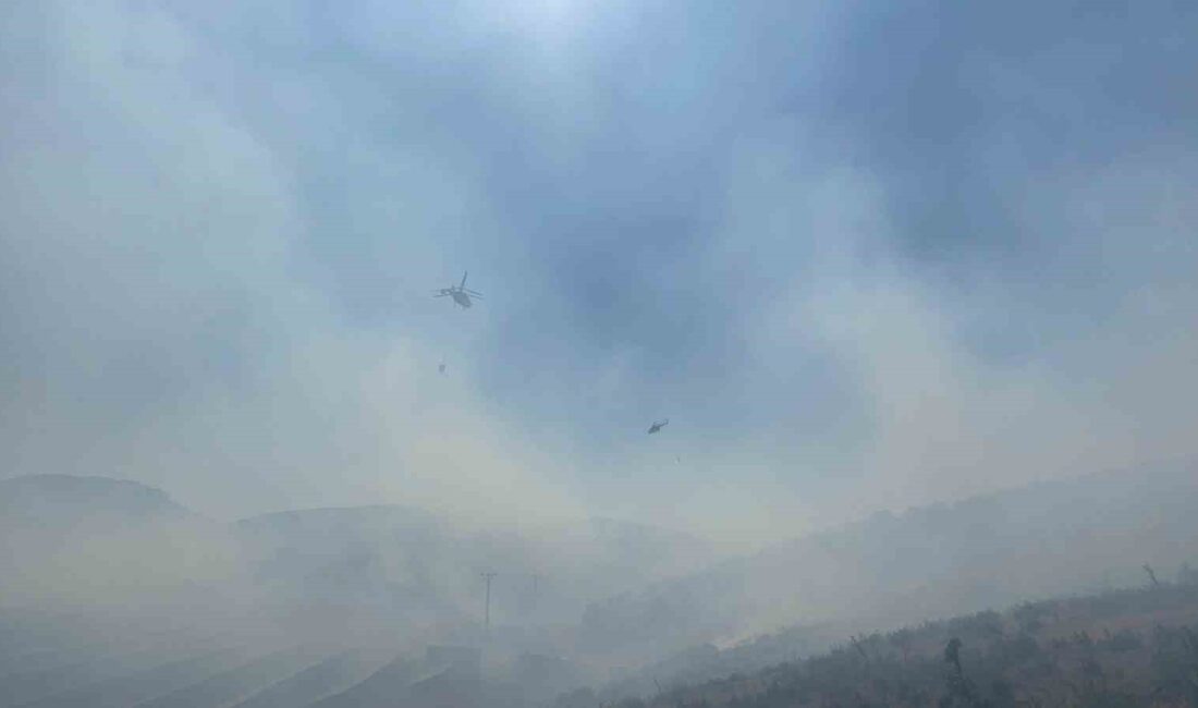 Manisa Kula'da çıkan orman yangını ve hızlı müdahale çalışmaları hakkında