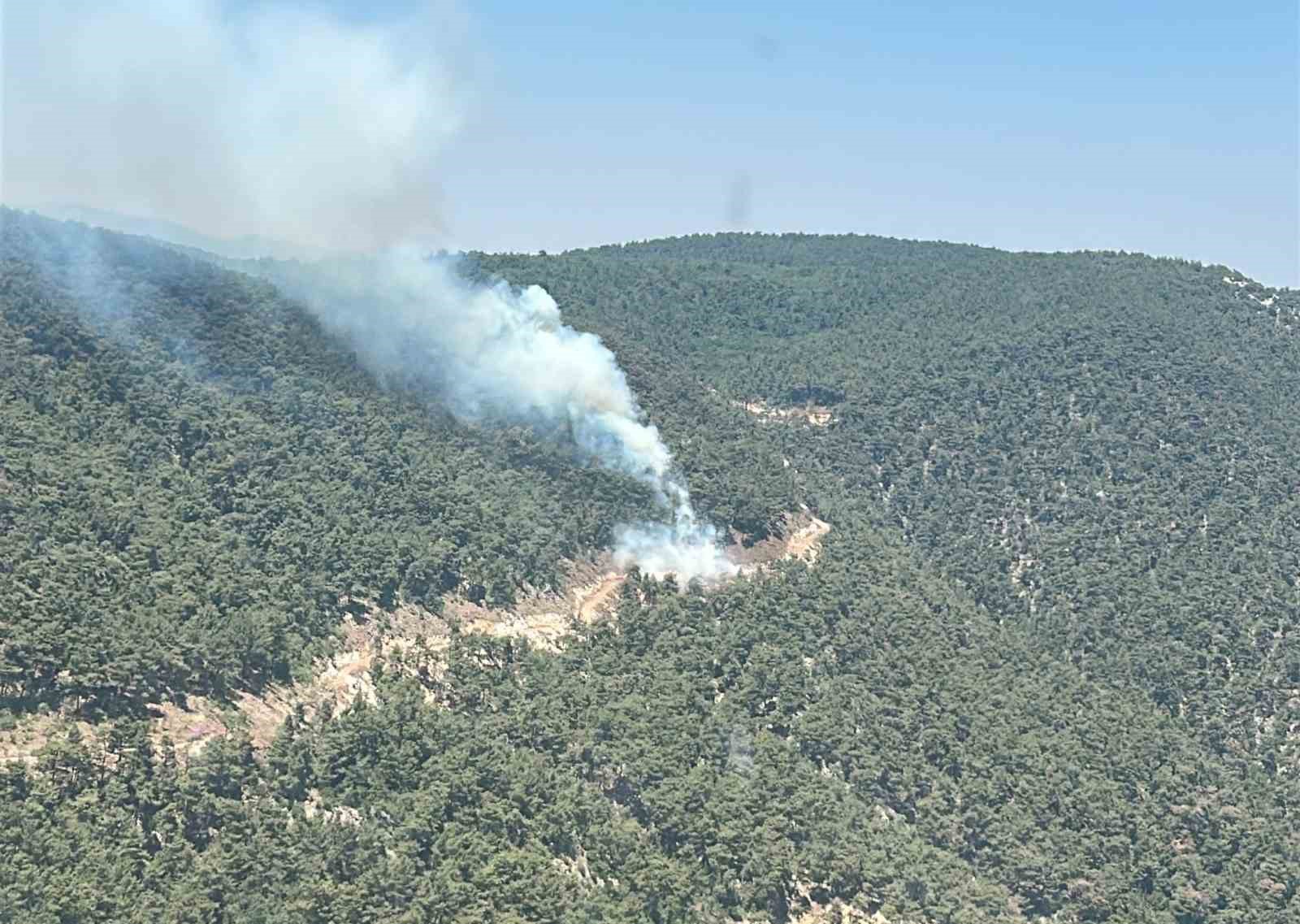 Yangına Müdahale ve Çalışmalar