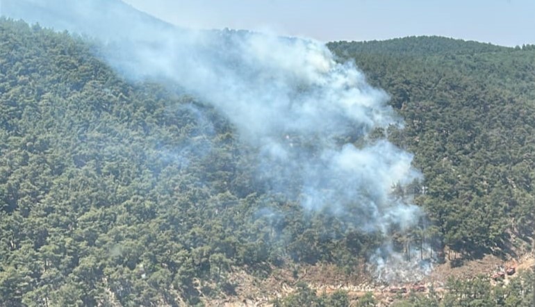 Çalışmaların Gelişimi ve Son Durum