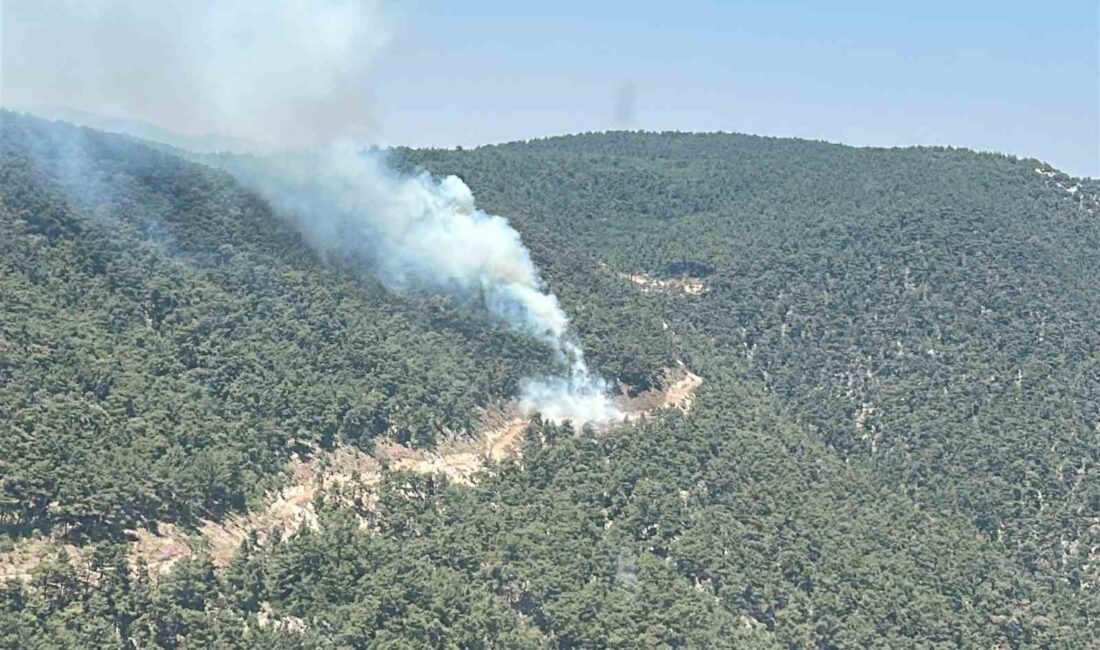 Manisa'da çıkan orman yangınıyla mücadele eden ekiplerin çalışmaları ve gelişmeler