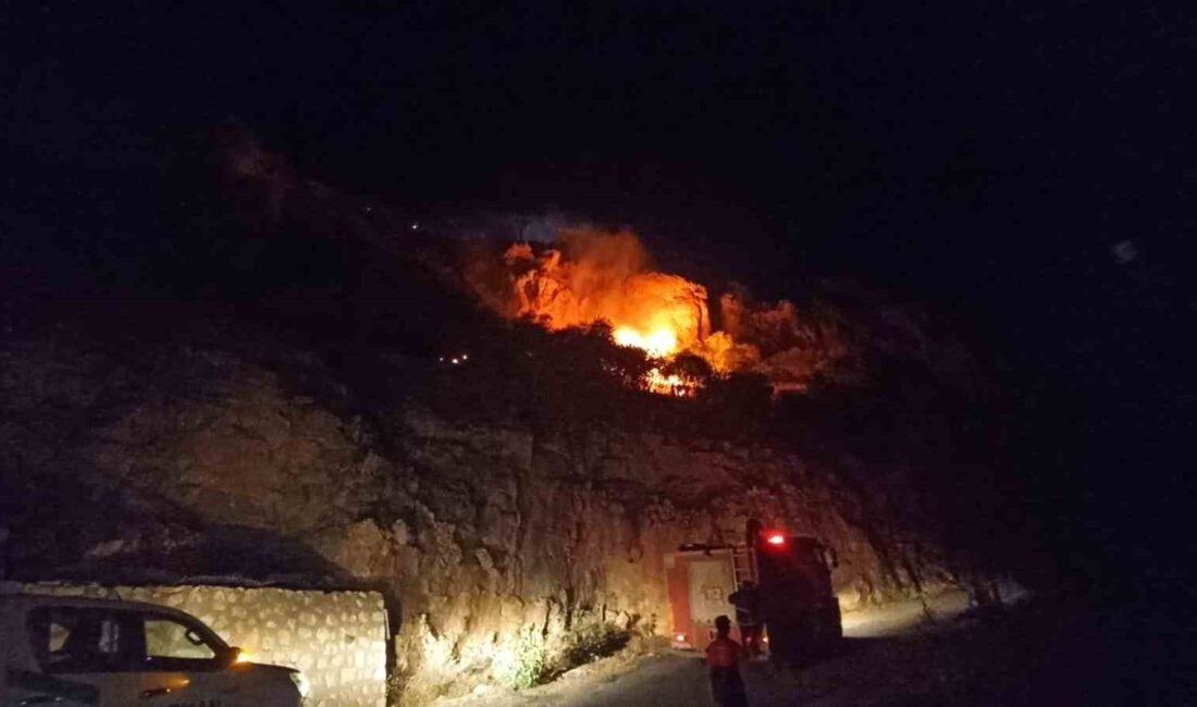 Mardin Kalesi eteklerindeki Otluk Alanı'nda çıkan yangın kontrol altına alındı.