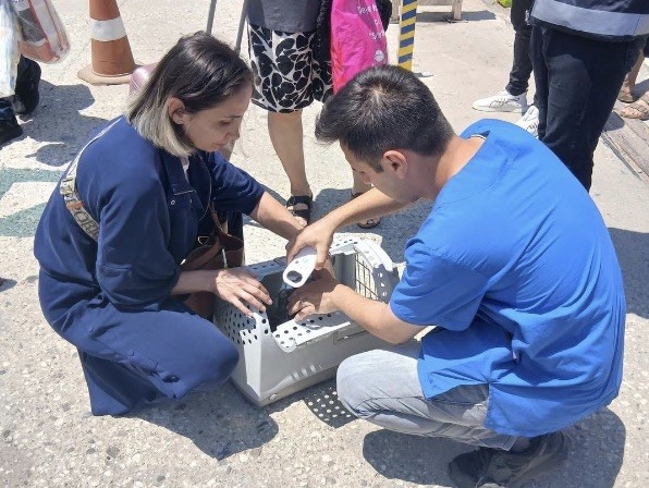 Gelişmiş Denetim ve Kontrol Sistemleri