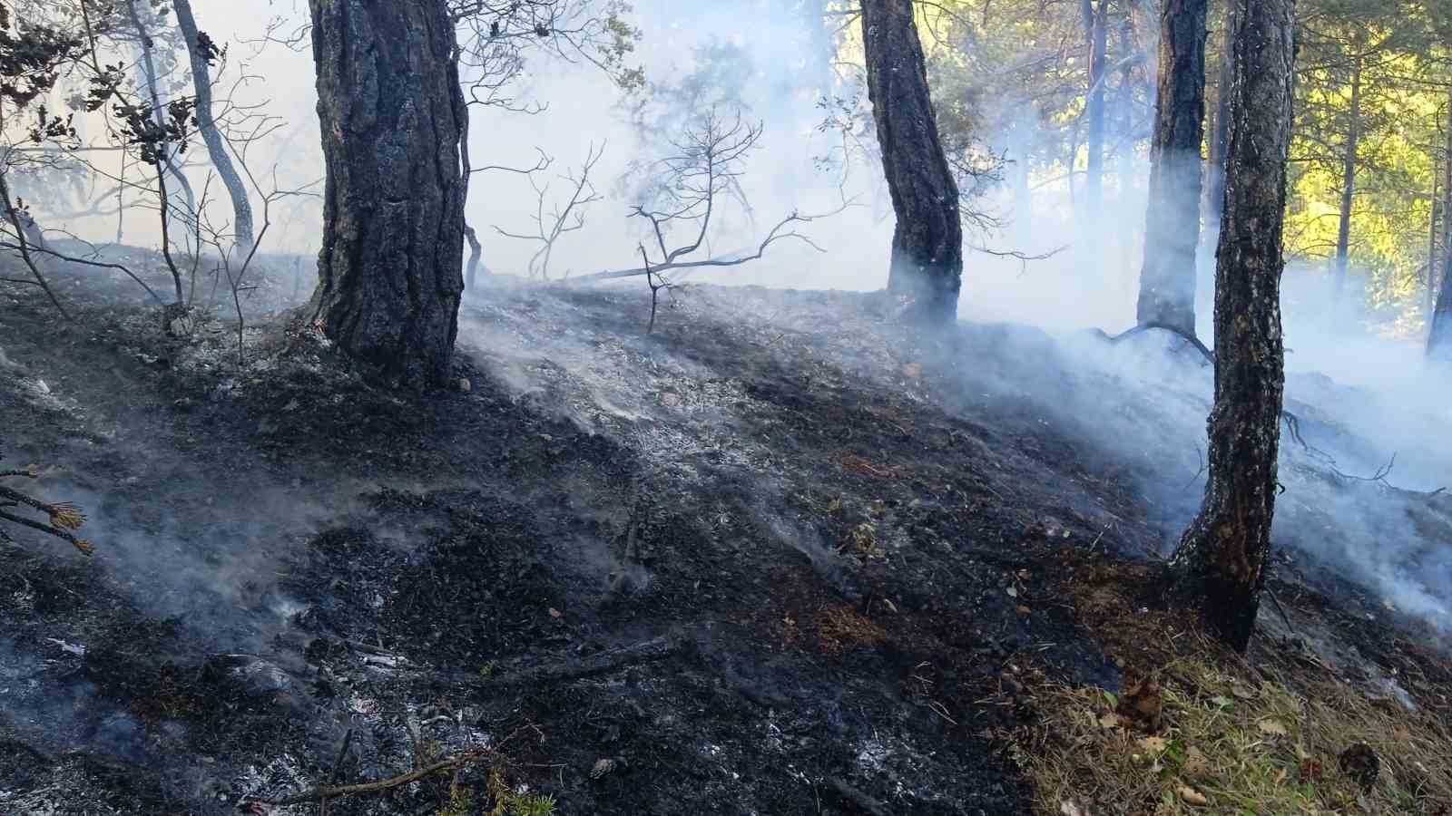 Mudurnu'da çıkan orman yangını kontrol altına alındı. Güvenlik sağlandı ve