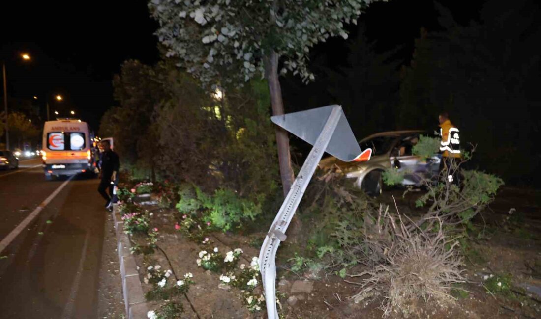Nevşehir'de alkollü ve ehliyetsiz sürücülerin neden olduğu trafik kazaları, sonuçları
