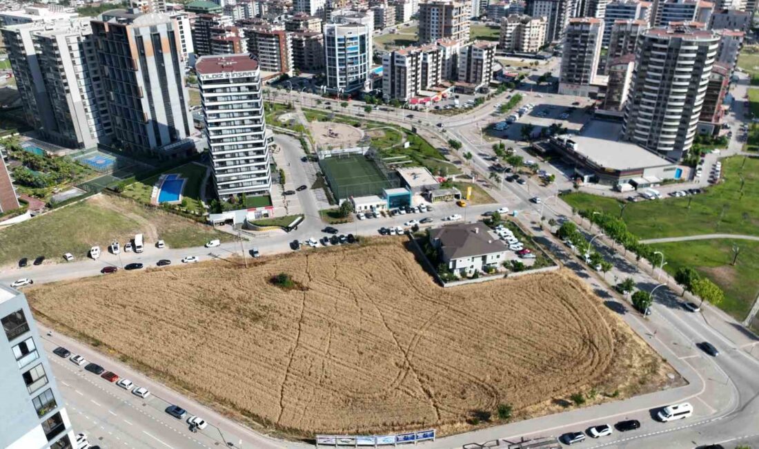 Nilüfer'de tarım ve kentsel dönüşüm çatışmasını inceleyen, modern kentleşme ile