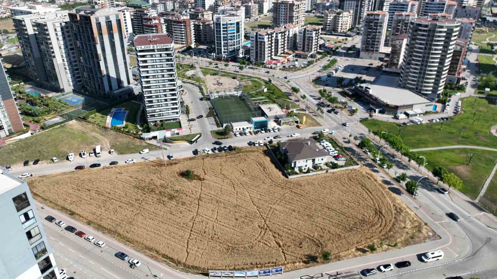 niluferde tarim ve kentsel donusumun catismasi modern kentlesme ile geleneksel tarimin savasi DkcE1atA