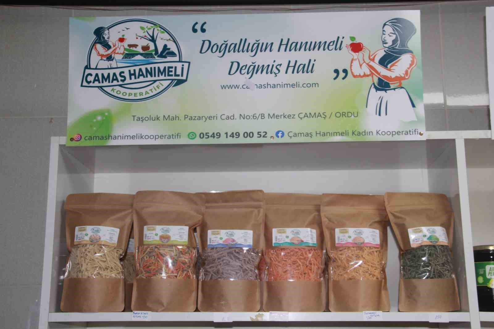 Çalışmalar ve Destek Programları