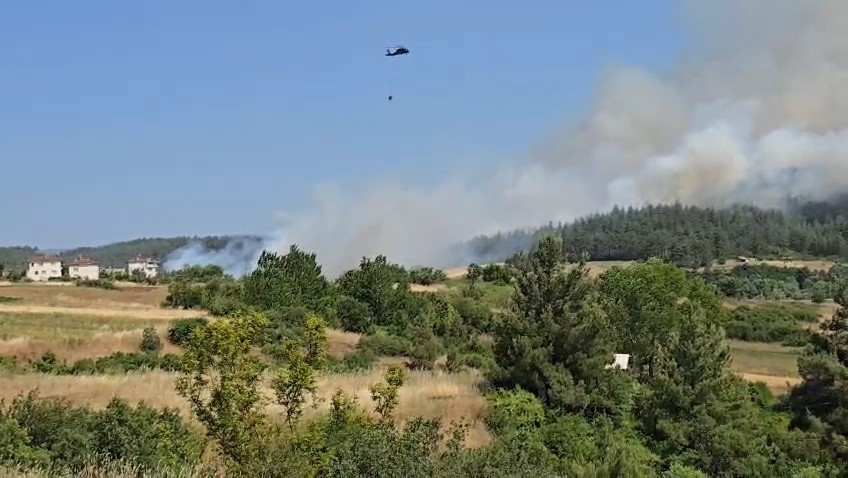 Yangının Başlangıcı ve İlk Müdahale