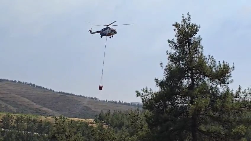 Gelecek Planları ve Tahminler